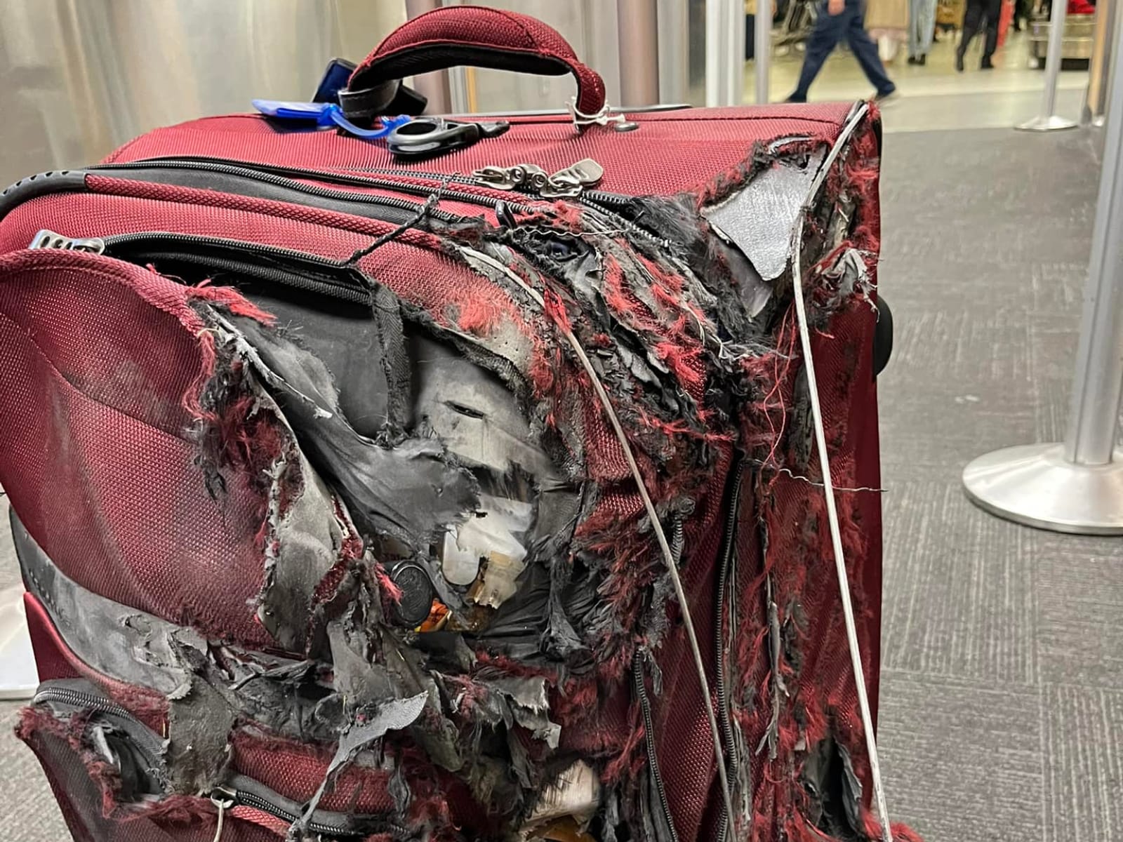 Outraged EasyJet passenger posts astonishing pictures of her 'shredded  luggage' leading people to wonder if it 'exploded' - Mirror Online