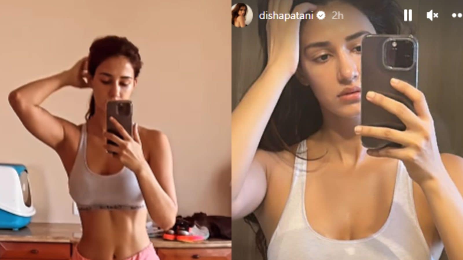 What's Cooking Baby: Disha Patani is the 'ultimate' hotness queen