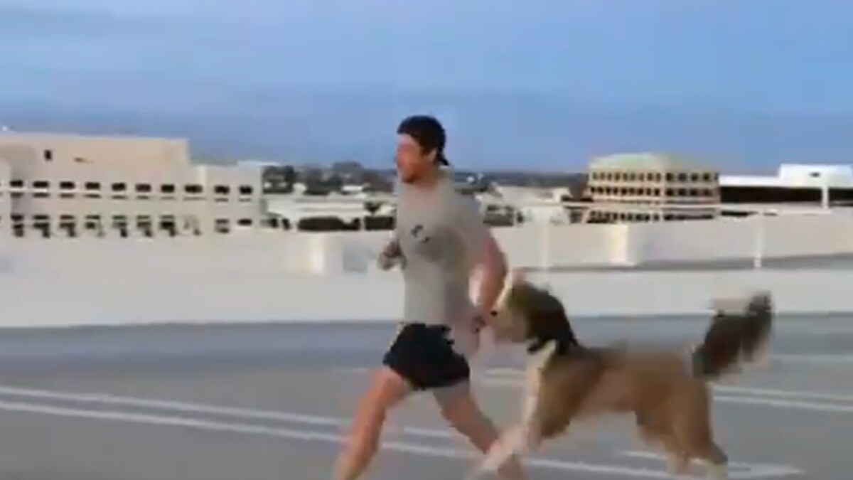 Video of Pet Dog Exercising With Owner Will Take Your Monday Blues Away