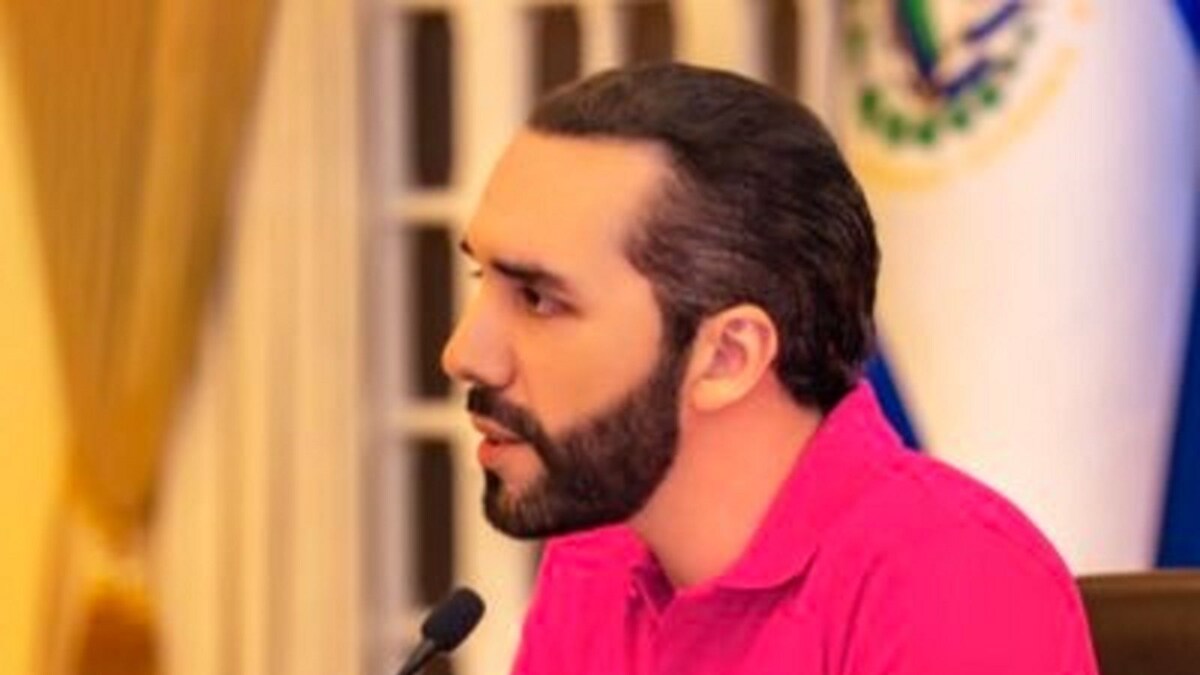 El Salvador To Start Buying 1 Bitcoin A Day From Friday, Says President Nayib Bukele