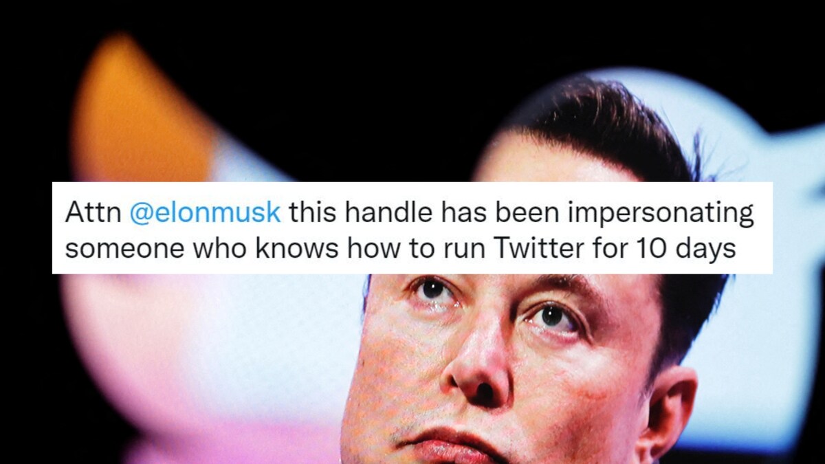 'Daily Show' Roasts Elon Musk, Points Out Twitter CEO's Own Account As 'Impersonator'