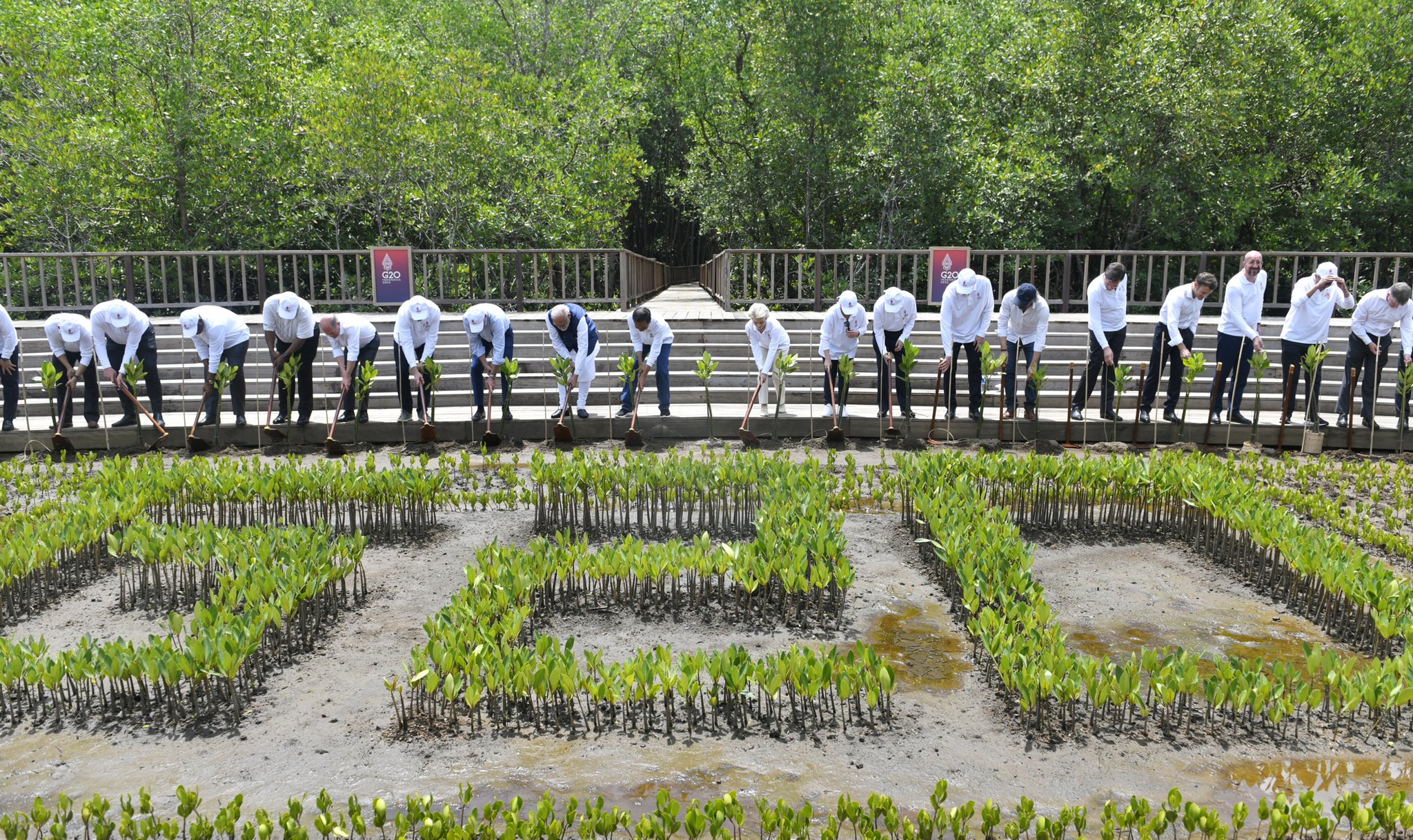 PM Modi visits Mangrove forests on the sidelines of G-20 