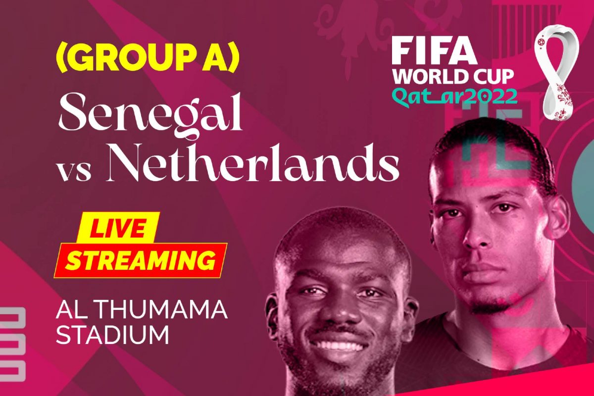 Senegal vs Netherlands Live Streaming When and Where to Watch FIFA World Cup 2022 Live Coverage on Live TV Online