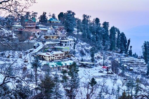 The Shimla police have advised the tourists to drive safely at slippery points and call 0177-2812344 or 112 in case of emergency. (Image: Shutterstock)