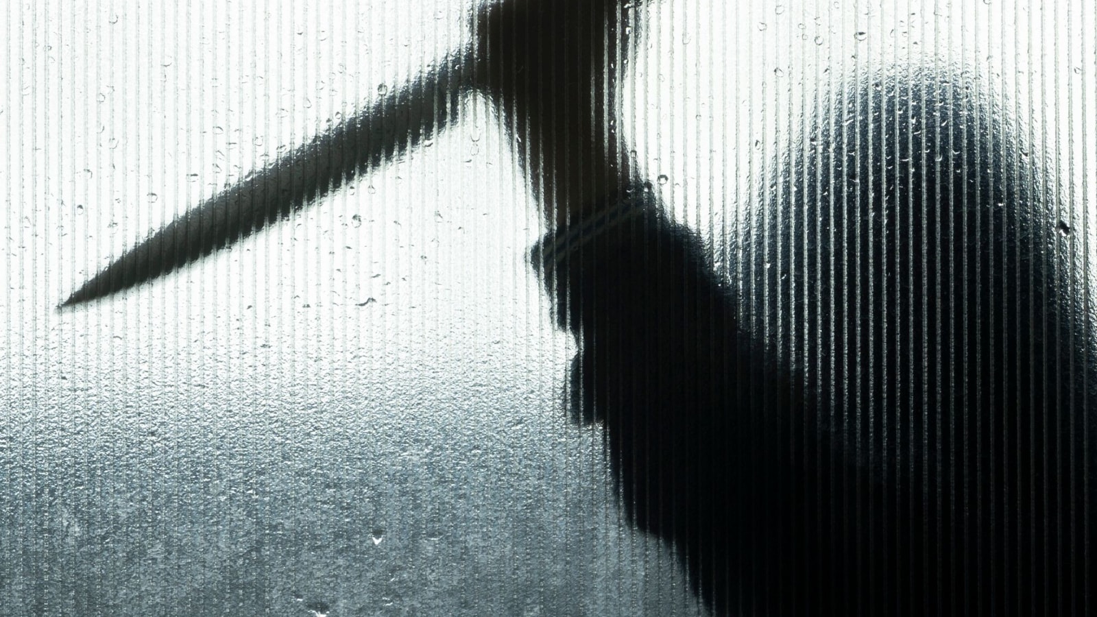 Texas Woman Who Killed Pregnant Woman to Steal Foetus Sentenced to ...