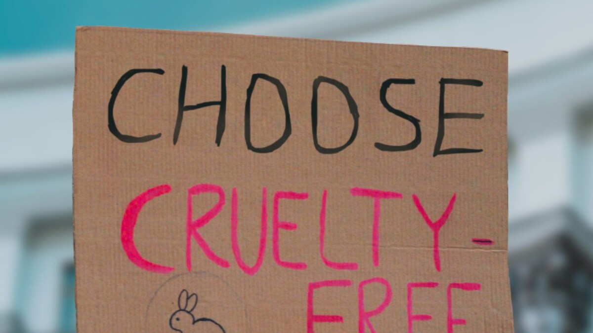 Things to Keep In Mind Before You Make the Move to Cruelty-Free Goods