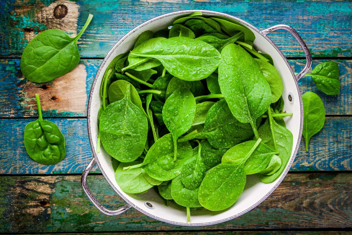 Summer Special: 5 Food Items That Can Help In Weight Loss