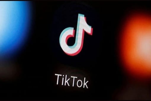 TikTok has said the concerns prompting state bans were largely fueled by misinformation.
(Representational Image: Reuters)