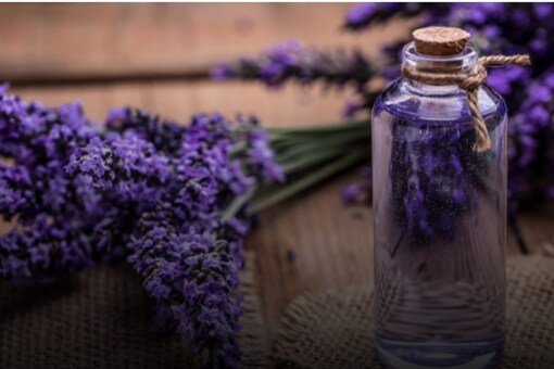 Dealing With Skin And Hair Issues? Lavender Oil is the Solution Dealing With Skin And Hair Issues? Lavender Oil is the Solution