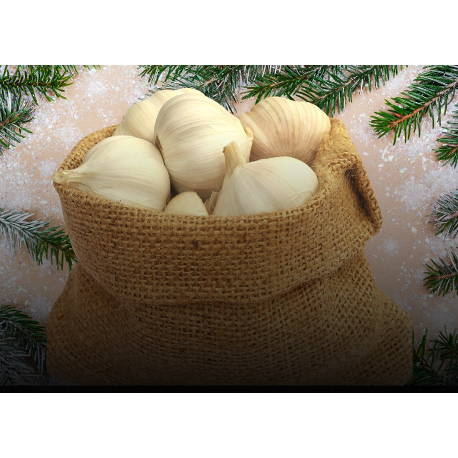 6 Health Benefits Of Eating Green Garlic In Winter Season