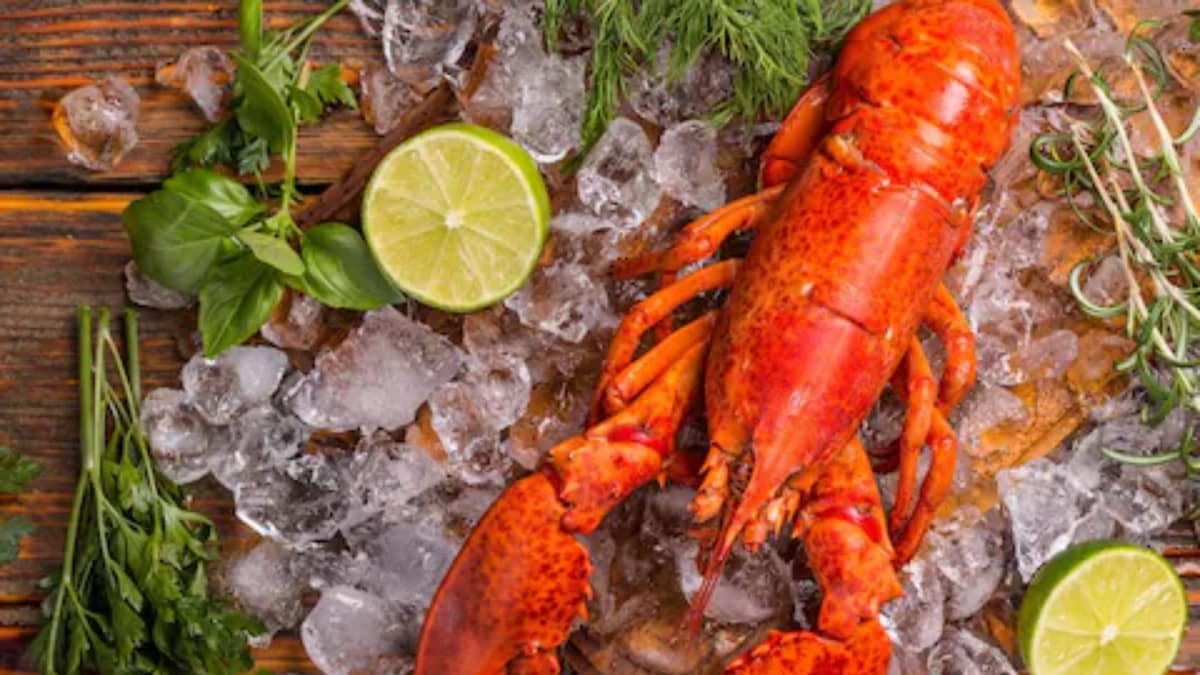 Immunity to Brain Health, Benefits of Consuming Lobster News18