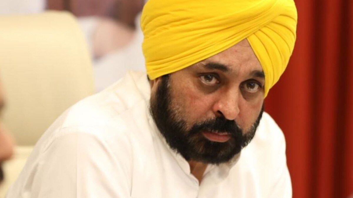 When the Gun Goes Down: Will AAP's Shot Against Punjab's Firearm ...