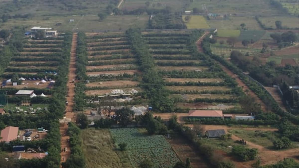 India’s Largest Miyawaki Forest in Hyderabad Offers Ecofriendly