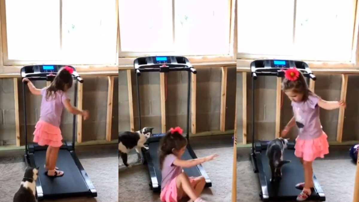 Watch: Young Girl Teaches Pet Cat How To Use Treadmill In Adorable ...