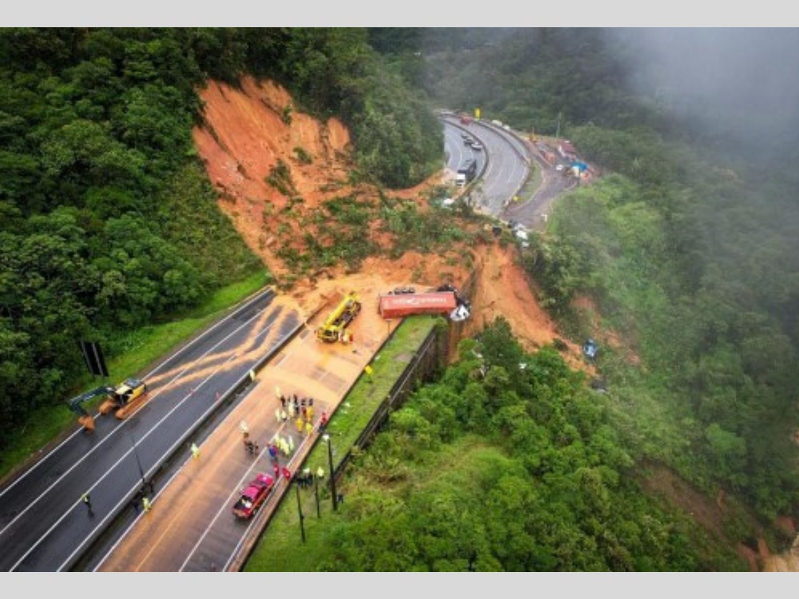 SciELO - Brasil - March or Die: road-killed herpetofauna along BR