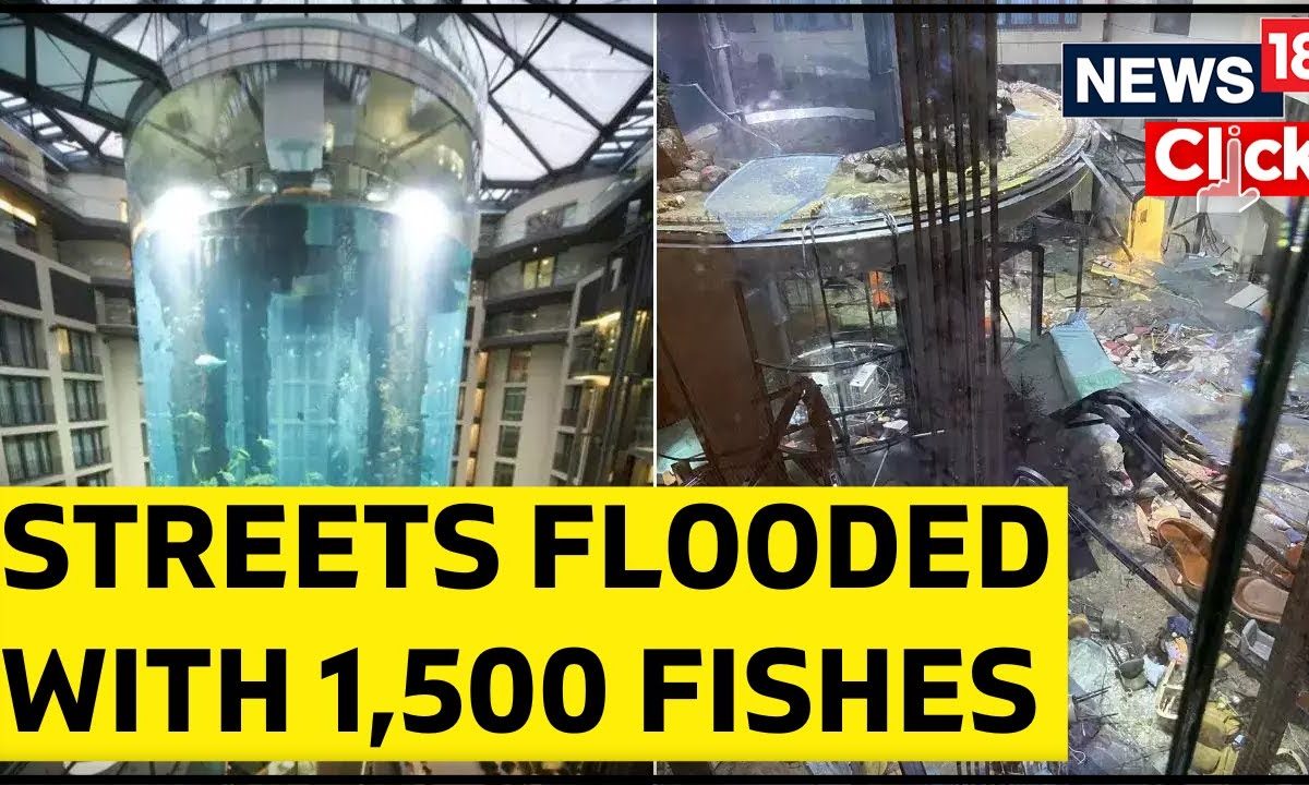 Huge Berlin Aquarium Bursts, Spilling 1,500 Fish Onto Road Berlin