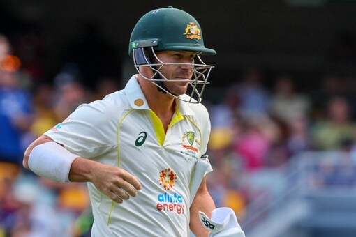 Australia opener David Warner (AP Image)