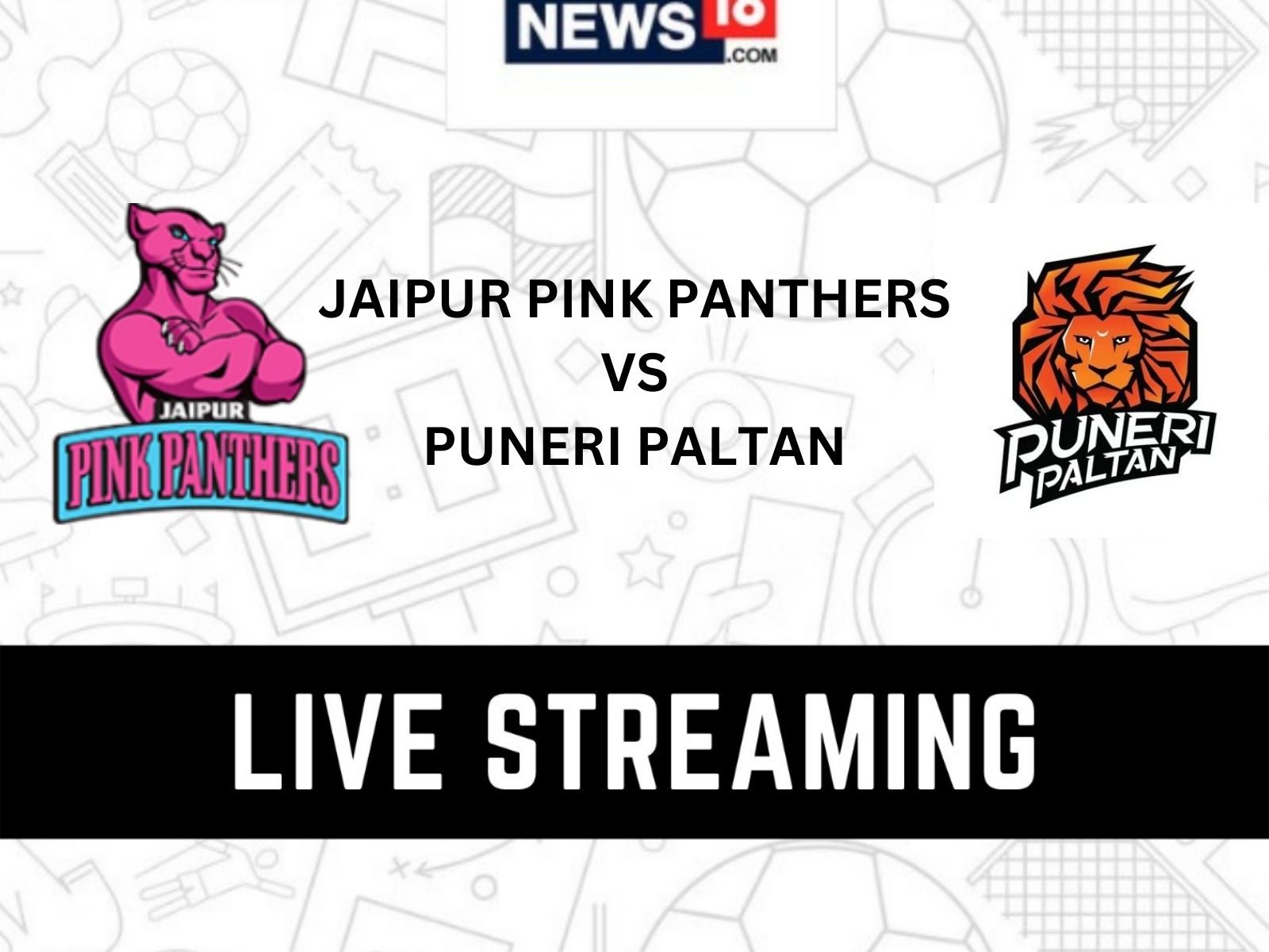jaipur pink panther Archives - Chakde Info