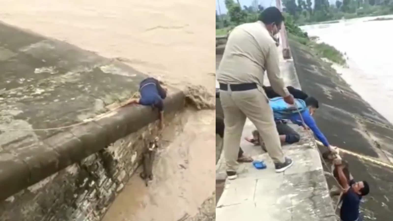 Man Risks His Life to Rescue Dog Stuck in Flooded Dam and Internet is ...