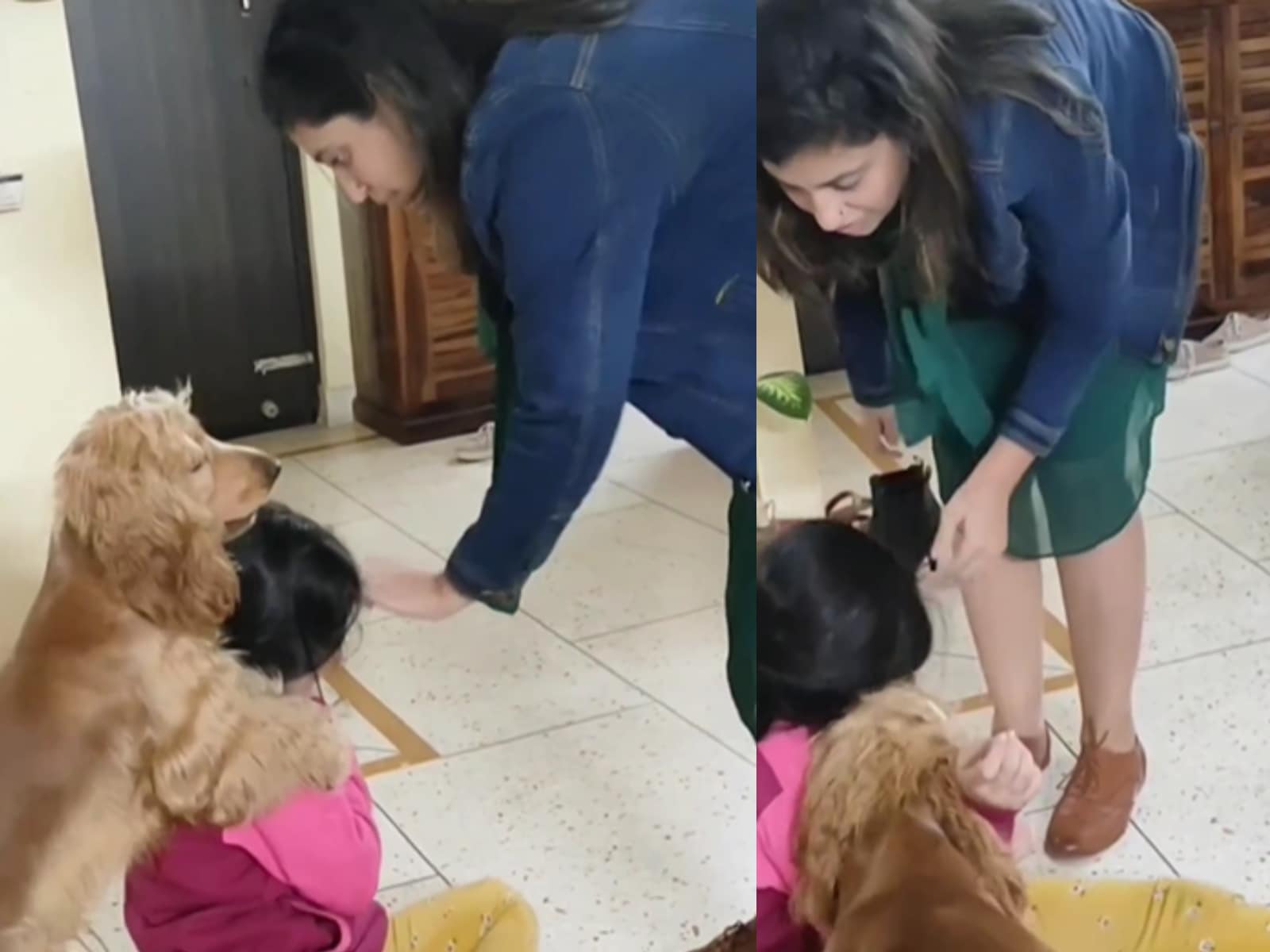 Woman Fakes Hitting Daughter, Pet Dog's Reaction Takes The Cake