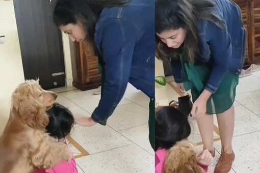 Woman Fakes Hitting Daughter, Pet Dog's Reaction Takes The Cake - News18