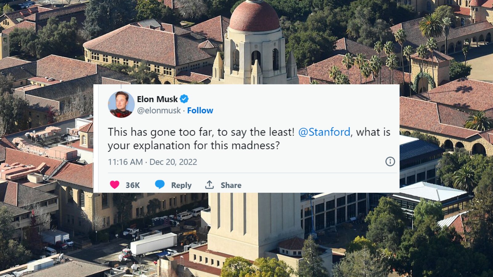 Stanford's 'Harmful Language' List Includes 'American', Elon Musk Calls it  'Madness'