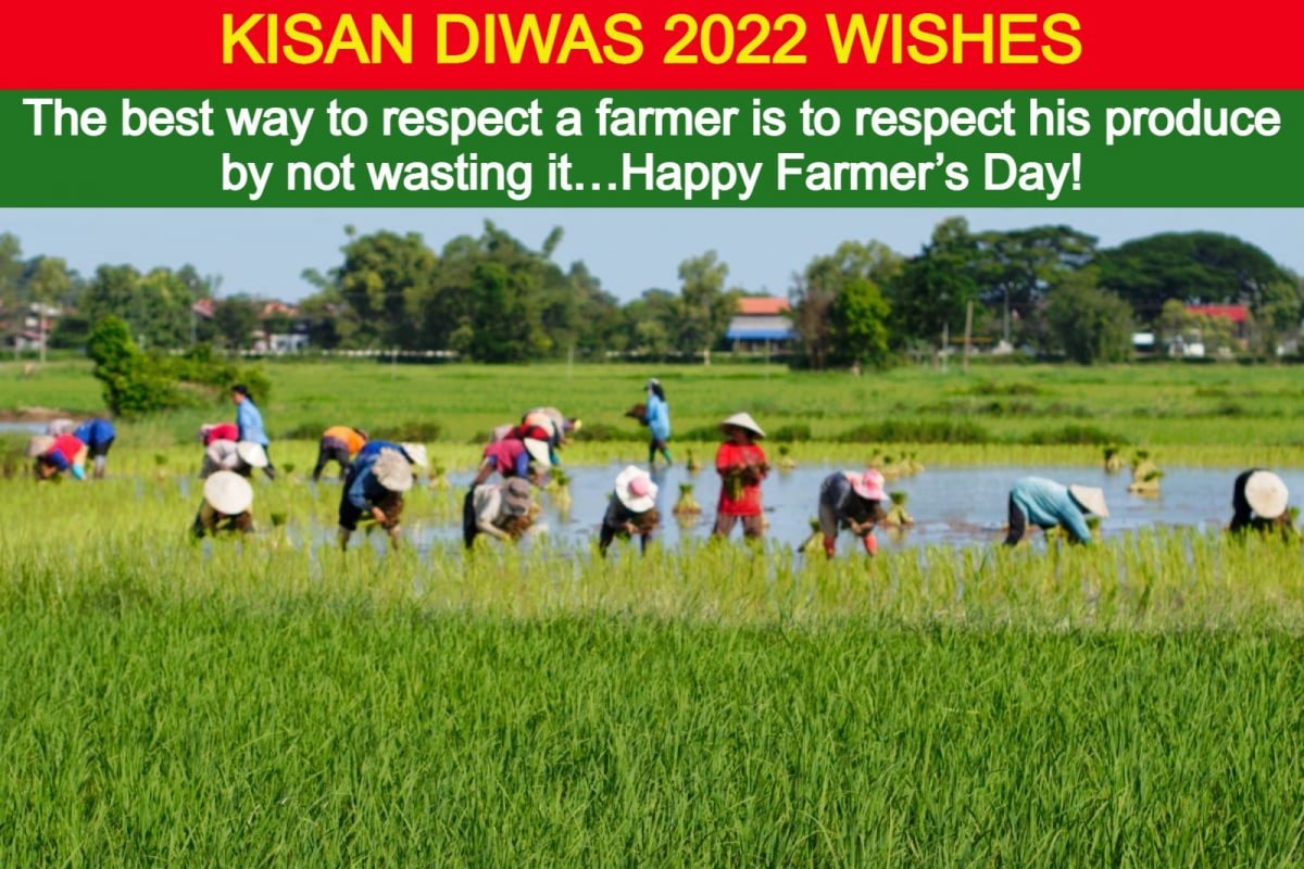 Indian Farmers Day Rashtriya Kisan Diwas Stock Illustration - Download  Image Now - Farmer, Day, Crop - Plant - iStock