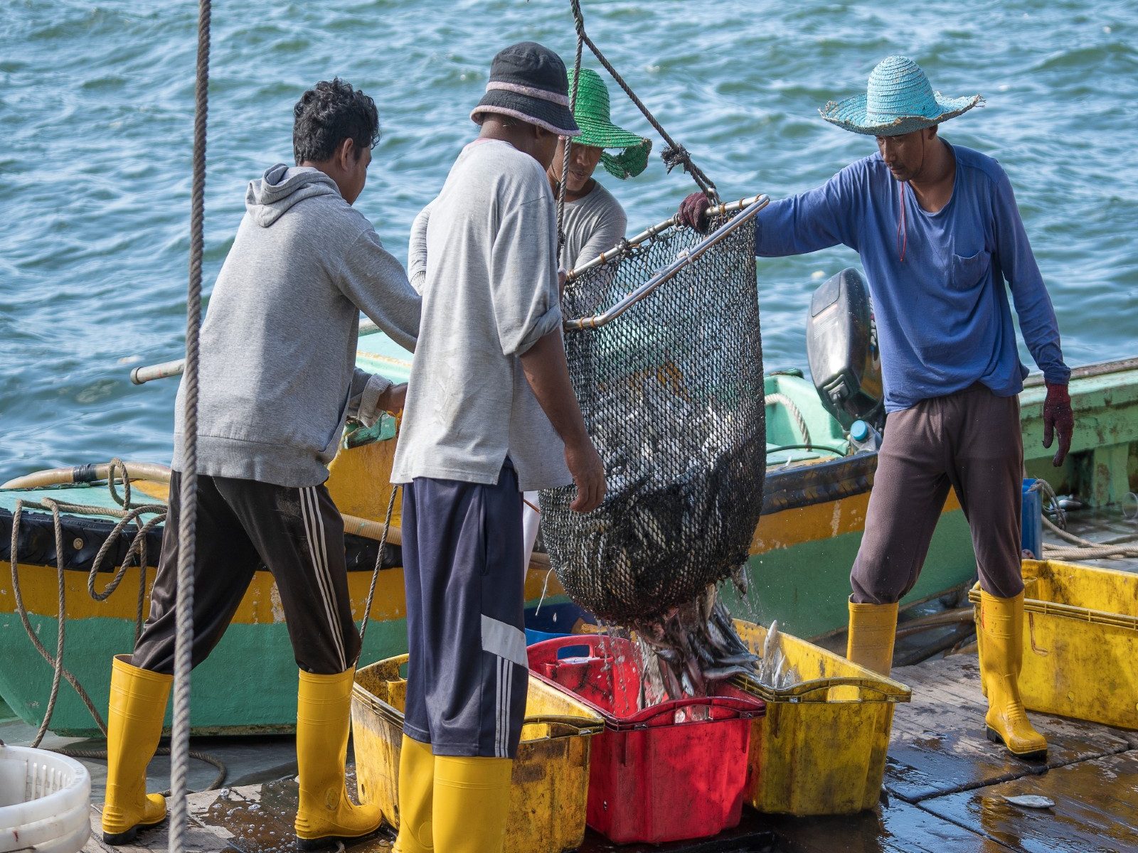 Global overview of Tuna Purse Seine Fisheries