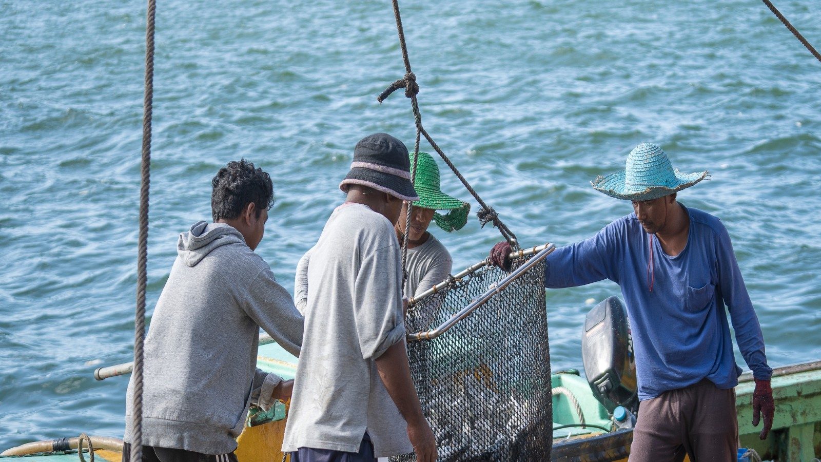 Twelve Indian Fishermen Arrested for Poaching by Sri Lanka Navy