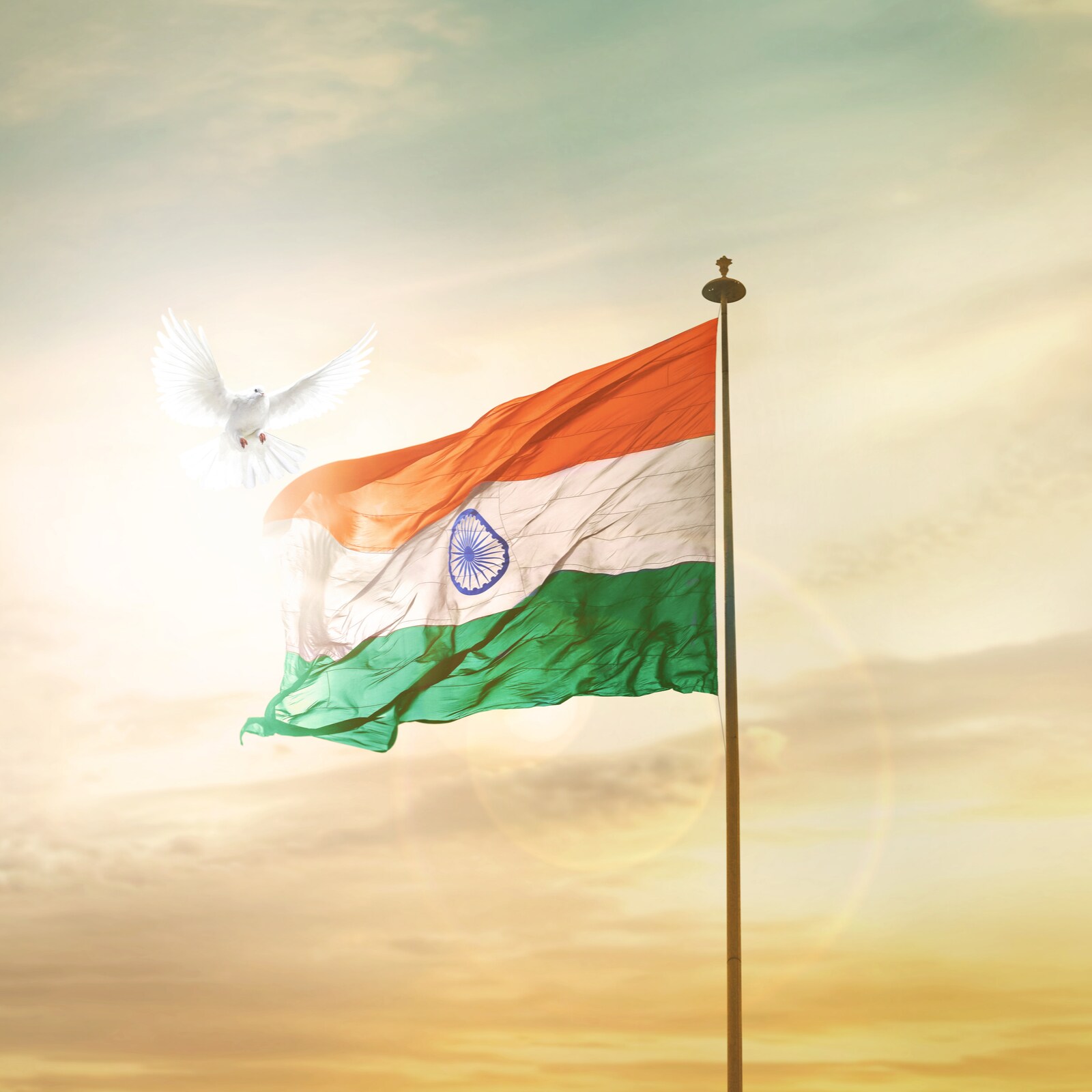 Calendar 2023: List of Important National, International Days and Dates -  News18