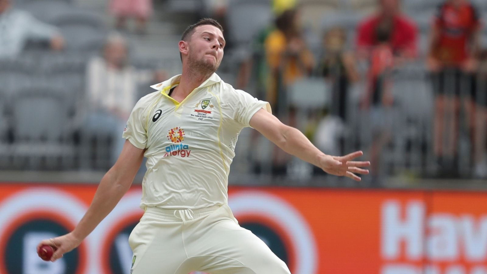 Josh Hazlewood’S Devastating Day: A T20I Loss For The History Books - qedtp3w