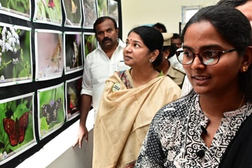 Kanimozhi officially inaugurated the butterfly festival on November 29, which was held for two days.  (Source: News18)
