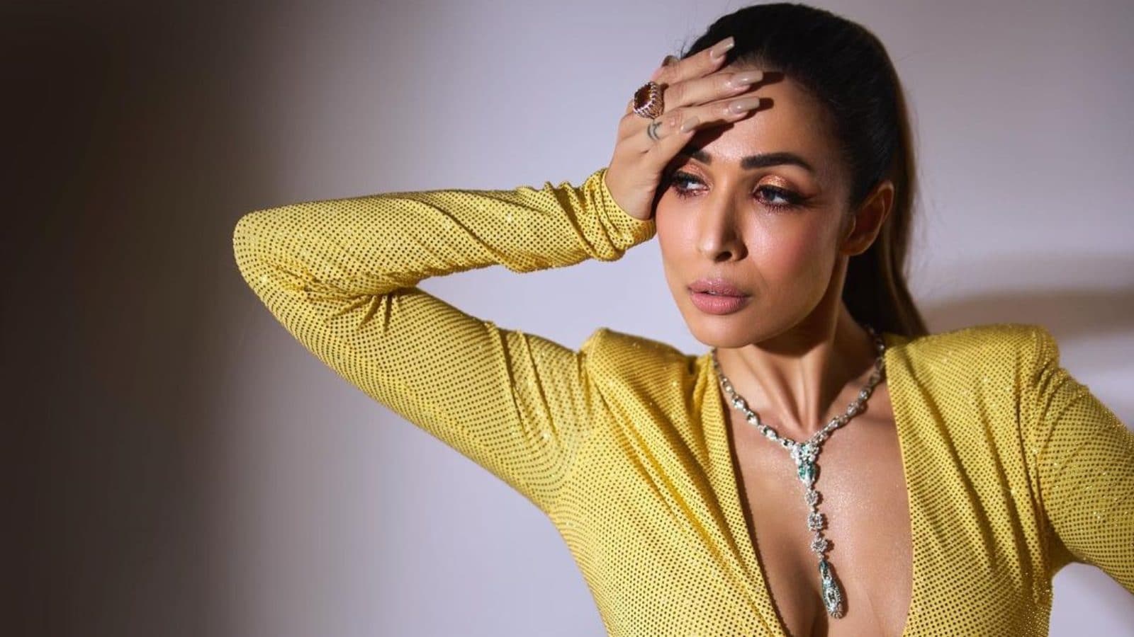 Malaika Arora Offered ‘Middle Class, Aspiring Comedian’ Role; She Calls It ‘Worst Nightmare’
