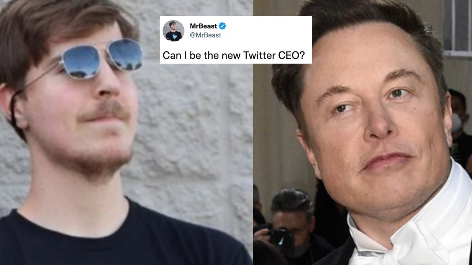 Elon Musk hosting meme review Mr Beast reviewing meme Jaiden animating meme  review Mr Beast reviewing a meme review where Elon Musk, Obama and Zucc  each host th…