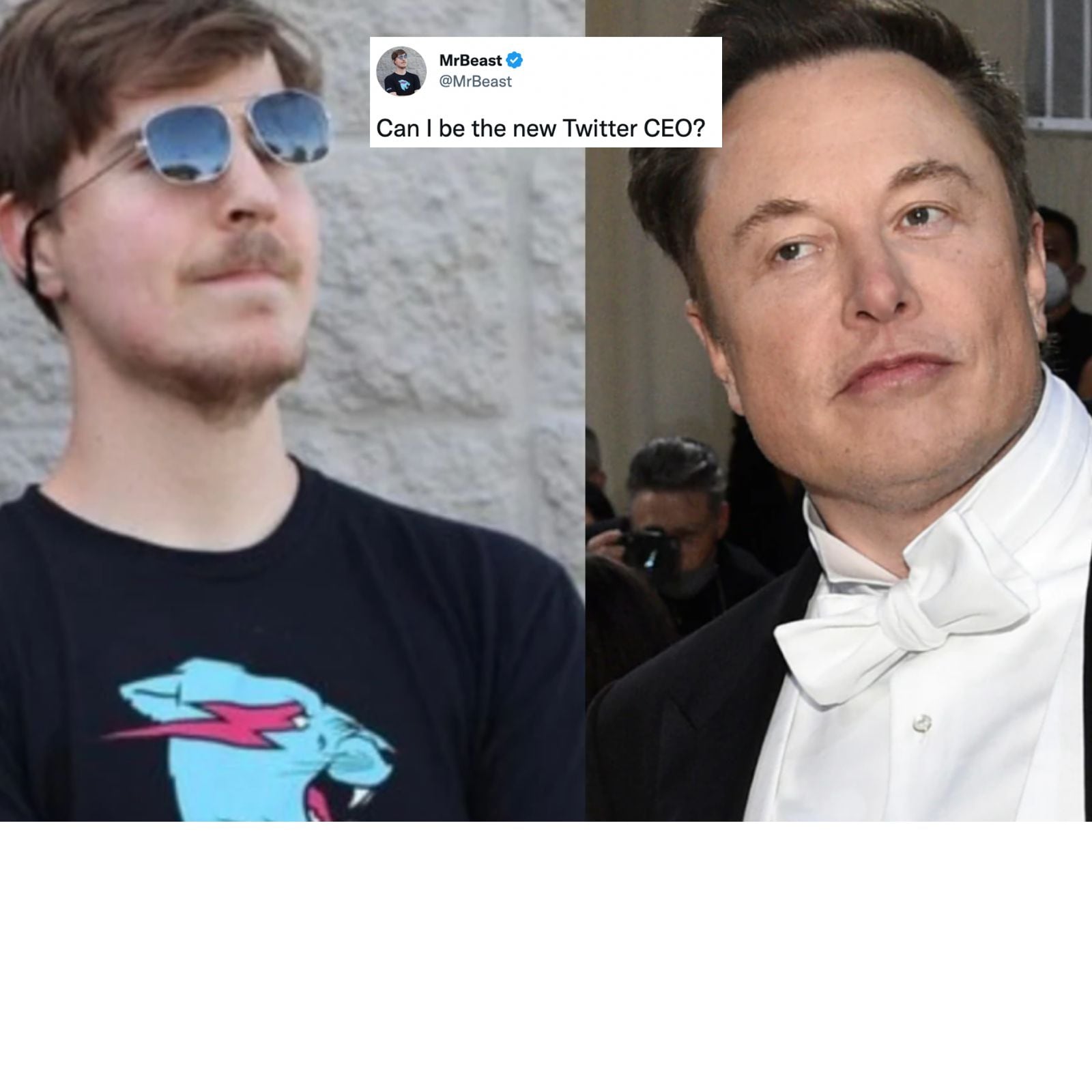 MrBeast reveals Elon Musk is paying him $5 a month on Twitter