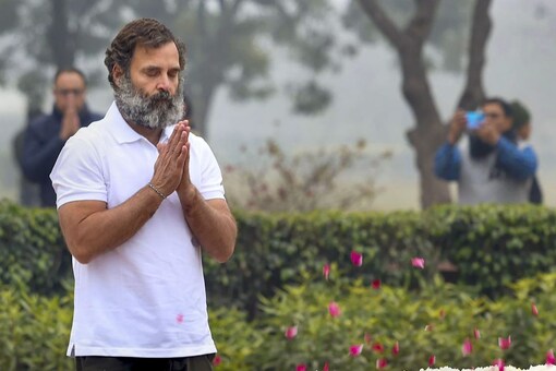 Congress Leader Rahul Gandhi. (Pic via @INCIndia).
