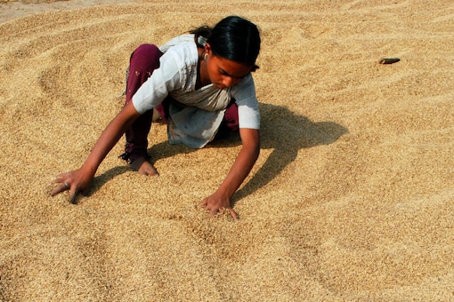 The impact will be less on basmati rice traders but tea exporters will face difficulties due to the sudden halt in signing of new contracts by Iranian importers (Image: Reuters File)