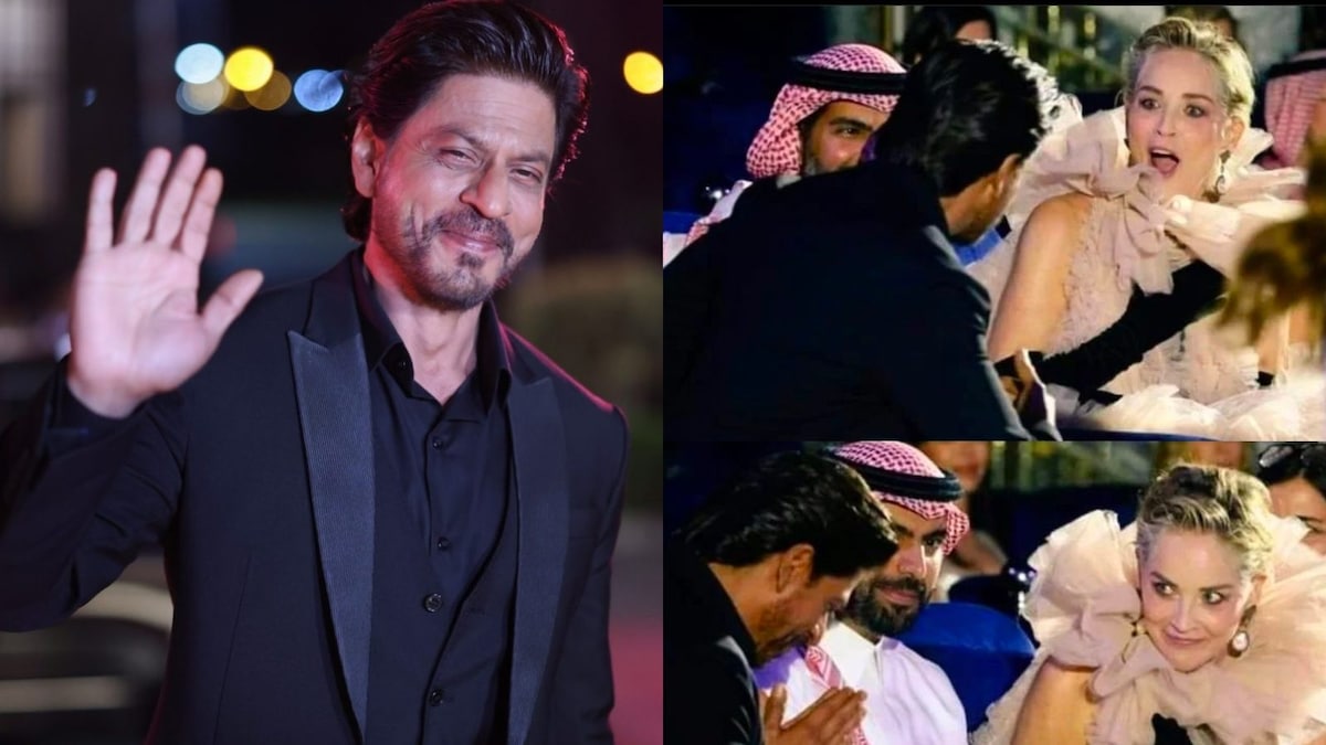 Sharon Stone Recalls Sitting With Shah Rukh Khan, Says 'I'm Not Easily Star Struck But...'