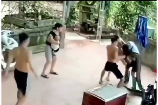 Giant Snake Attacks Man As He Attempts to Remove Reptile From Box ...