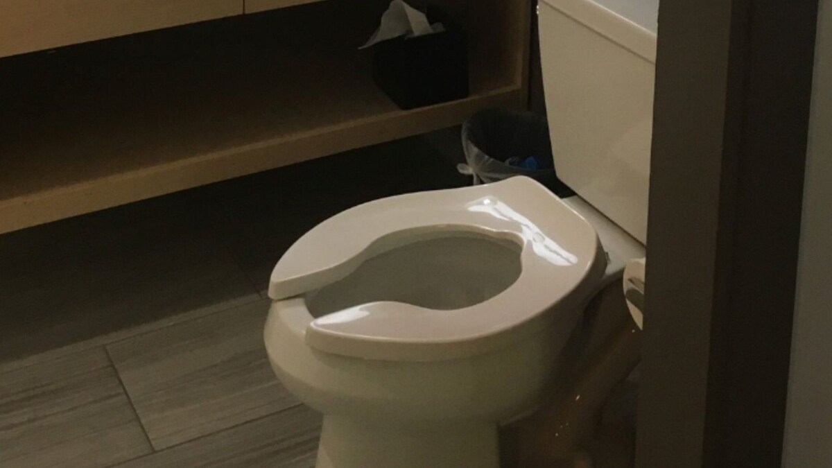 There is an Explanation For Toilets Without Lids And it Will Surprise You News18