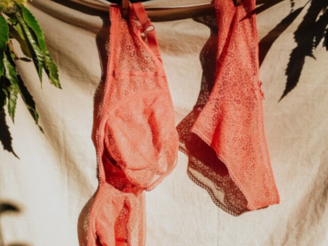 Compostable Underwear Means You Can Now Plant Your Panties - News18