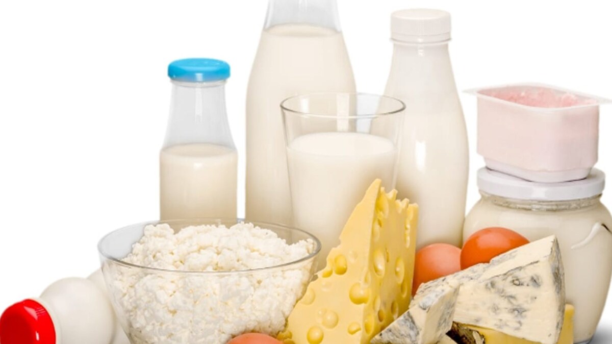 Top 5 Dairy Products That Are Low In Lactose - News18