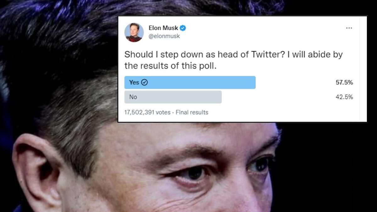 Elon Musk Has Lost Twitter Poll, Will He Step Down as Head of Bluebird App?