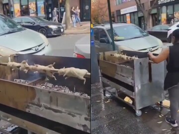 Viral Video of Woman Grilling Rodents on a Public Sidewalk in NYC