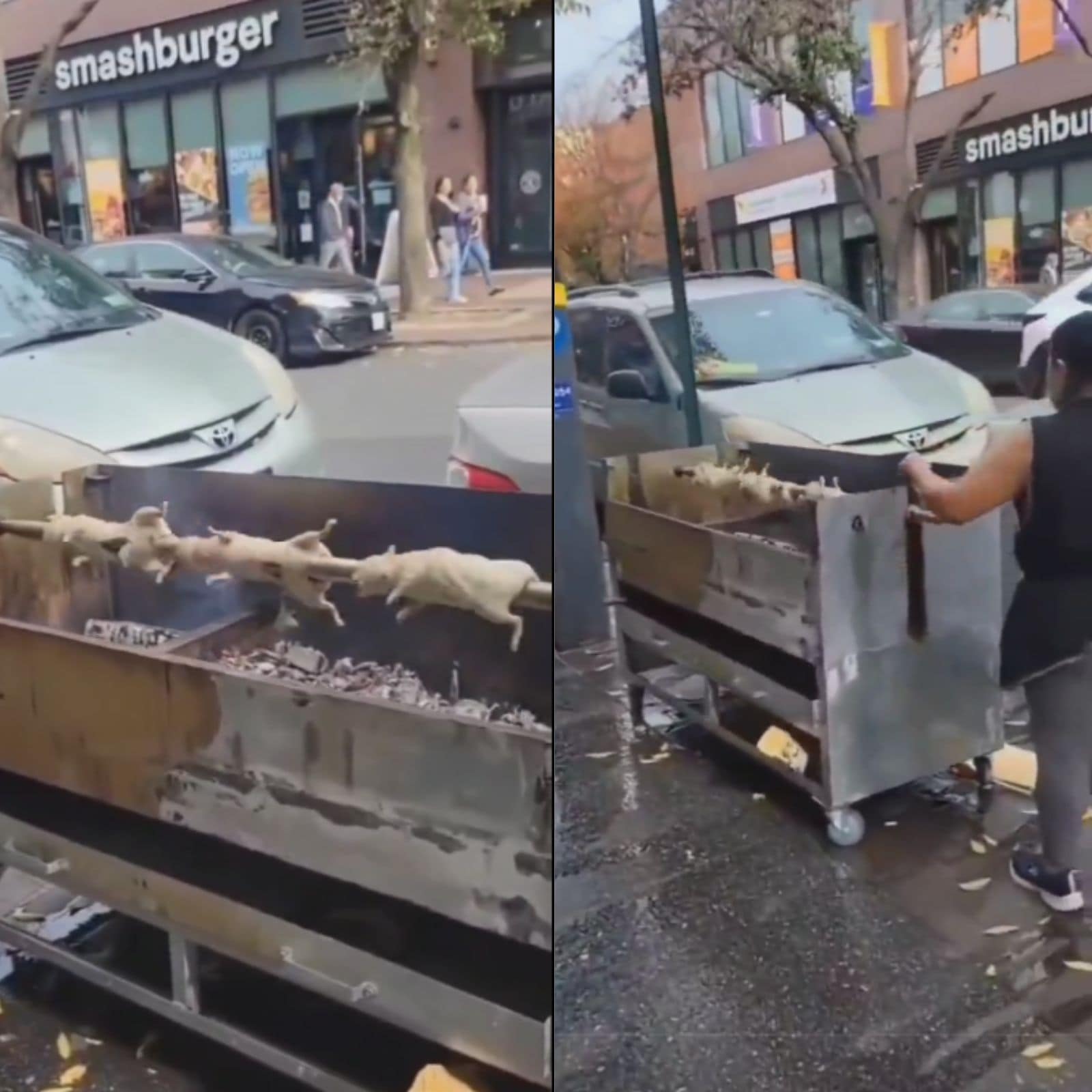Viral Video of Woman Grilling Rodents on a Public Sidewalk in NYC Leaves  the Internet Divided - News18