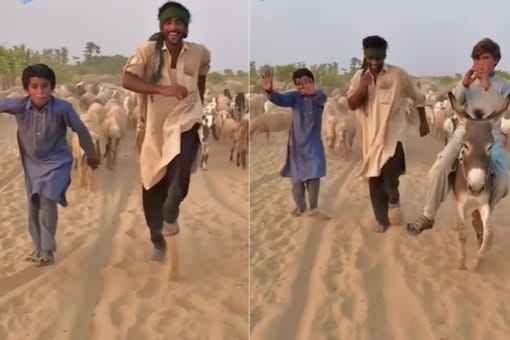 In the video, a shepherd can be seen in rugged clothes.