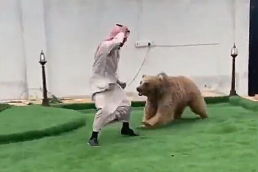 The other part of the video also shows the bear standing on his feet and then trying to bite the person.