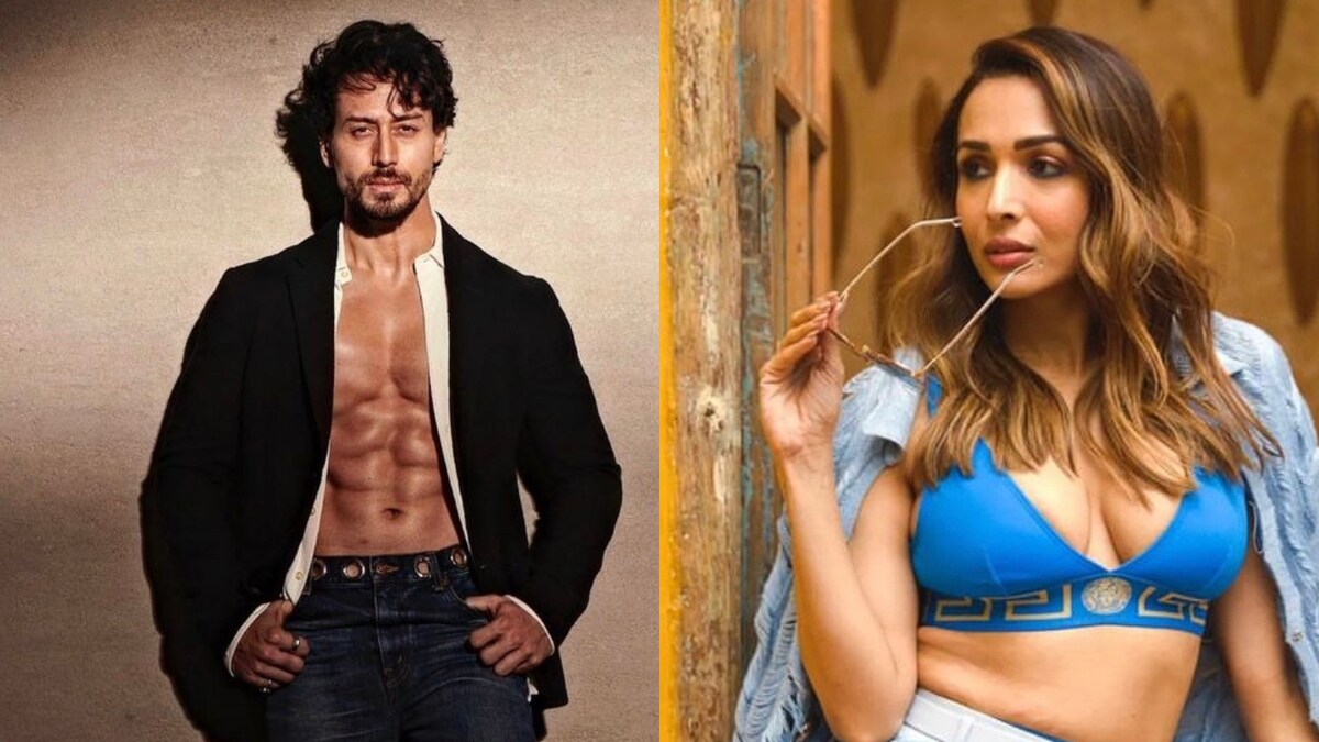 From Malaika Arora To Tiger Shroff, B-Town Stars Who Can Be Your Fitness Guru In 2023