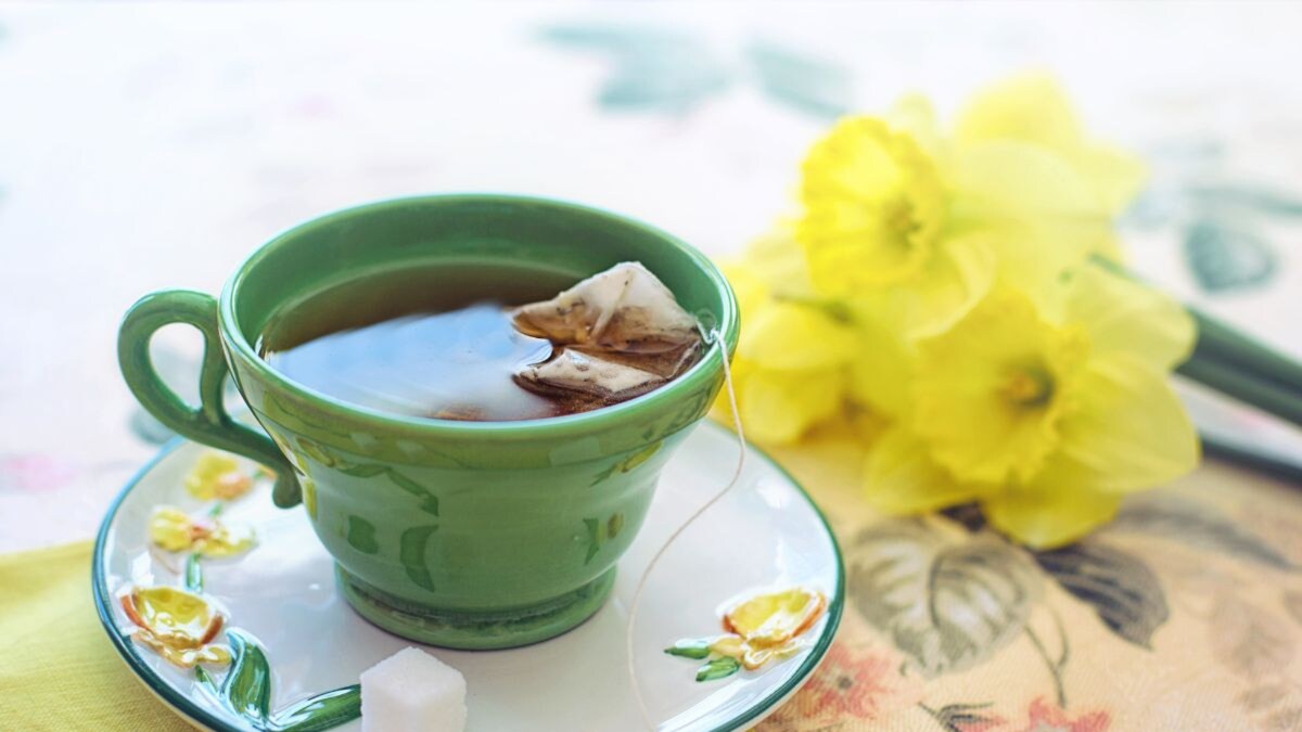 Stock Up On These Green Tea Flavours to Keep Yourself Warm and Healthy