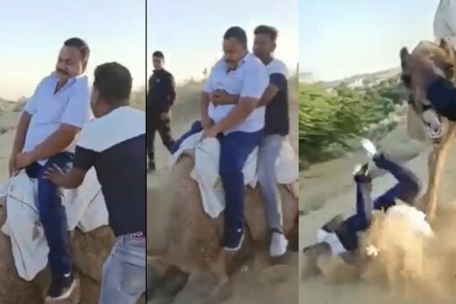 The 29-second clip opens with a man, trying to hop on a camel. 